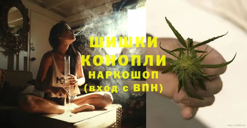 купить наркотики цена  Кисловодск  Канабис гибрид 